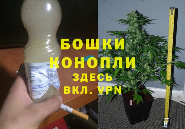 молекула духа Кинешма