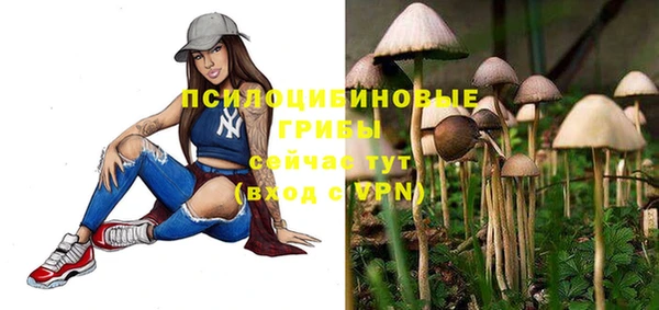 молекула духа Кинешма