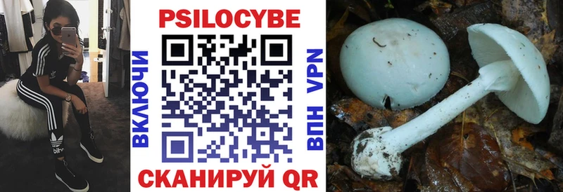 Галлюциногенные грибы прущие грибы  Купить закладки  Донецк 