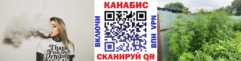 Бошки Шишки ГИДРОПОН  Купить где  Донецк 